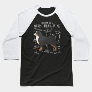 Bernese Mountain Dog Anatomy Baseball T-Shirt